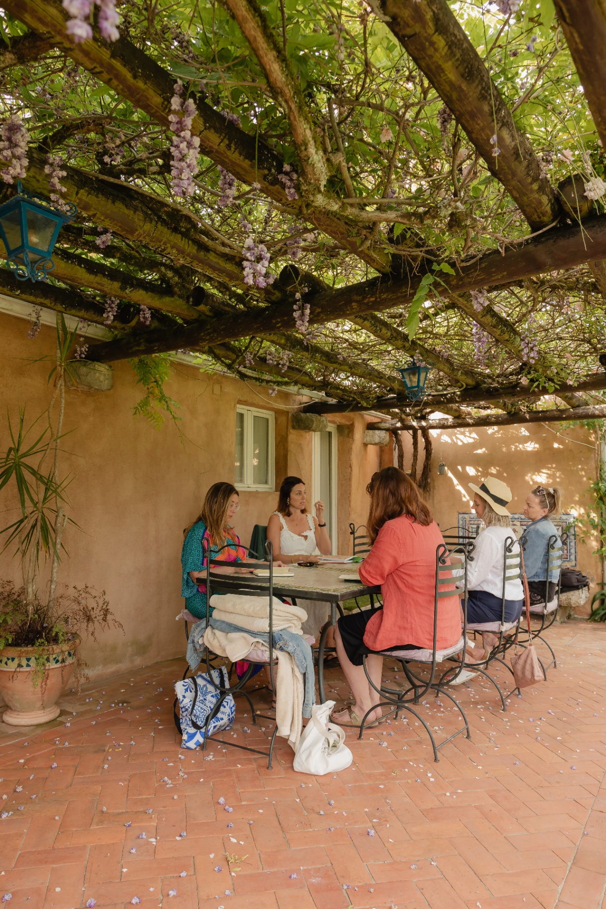 Group gathered under a wisteria pergola